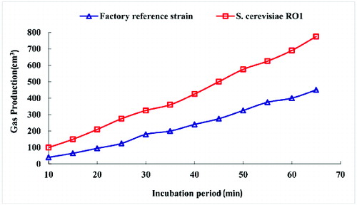 Figure 4. Fermentograph of the dough rising power of the factory reference strain and RO1.