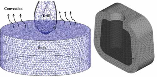 Figure 3. (a)Thermo-mechanically coupled model (Alam et al., Citation2014) (b) idealized mandible model (Fonseca et al., Citation2013)