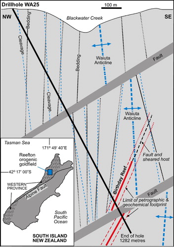 Figure 1. Cross section through the Birthday Reef (modified from MacKenzie et al. Citation2016), with an example of a deep drillhole trajectory to intersect the vein at depth. Vertical scale = horizontal scale. (Inset) Location of the Reefton goldfield that hosts the Birthday Reef.