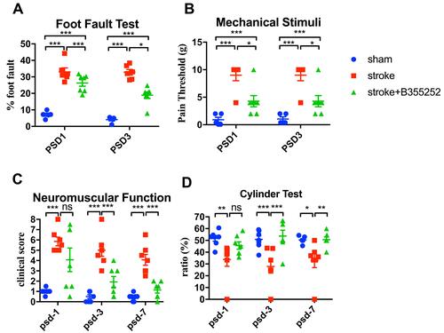 Figure 8 B355252 ameliorates behavioral outcomes of brain ischemia rats. (A) Foot fault test evaluated by grid walking at PSD 1 and 3. (B) Mechanical stimuli response was evaluated by von Frey test at PSD 1 and 3. (C) Data of mNSS from experimental rats measured at PSD 1, 3, 7. (D) Data of cylinder test from experimental rats measured at PSD 1, 3, 7. N=7 per group. ns: not significant change, * p< 0.05, ** p< 0.01, *** p< 0.001 by two-way ANOMA.