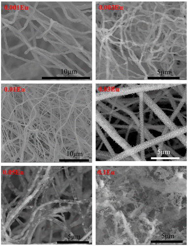 Figure 4. SEM microstructure of CuAl1-xEuxO2 (x=0.001, 0.003, 0.01, 0.03, 0.05 and 0.1) electrospun fibers annealed at 1100 °C for 3 h.