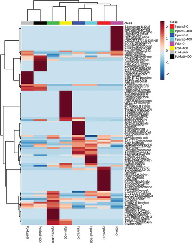 Figure 5. Heatmap analysis combined with hierarchical clustering analysis of metabolites in the shoots of rice under control and Fe toxicity stress. Analysis using normalized data with mean-centered via http://www.metaboanalyst.ca. 0 = 0 ppm (control); 400 = 400 ppm FeSO4.7H2O.