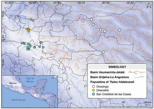 Figure 1. Localities of fish sampling Tlaloc hildebrandi in Chiapas, Mexico.