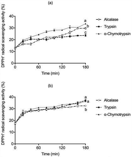Figure 2. DPPH• antioxidant activity in (a) globulins and (b) glutelins of Leucaena leucocephala seed cotyledon protein hydrolysates by Alcalase, Trypsin, and α-Chymotrypsin. All experiments were done in triplicates. Different letters on each line indicate significantly different at P < .05.Figura 2. Actividad antioxidante por DPPH en (a) globulinas y (b) glutelinas en los hidrolizados proteicos de proteínas de cotiledón de Leucaena leucocephala producidos con Alcalasa, Tripsina y α-quimotripsina. Los análisis de hicieron por triplicado. Diferentes letras en una misma línea indican diferencias significativas a P < .05