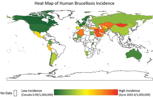 Figure 1. Heat map of human incidence (per 1,000,000 individuals). White space indicates no data. Adapted from Pappas et al., 2006 and other sources [Citation23,Citation27,Citation28].