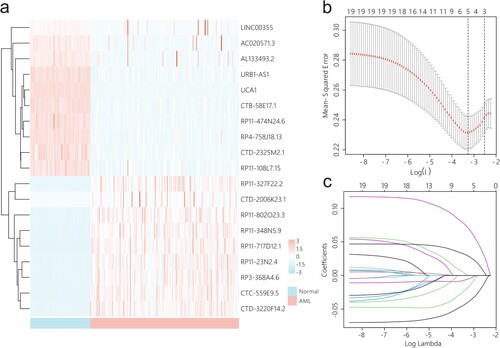 Figure 1. Cuprotosis-related lncRNAs associated with AML prognosis in TCGA database. (a) Heatmap of 19 cuprotosis-related lncRNAs differentially expressed in normal and AML. (b and c) Five cuprotosis-related lncRNAs signatures obtained by using a LASSO cross-validation dimension reduction.