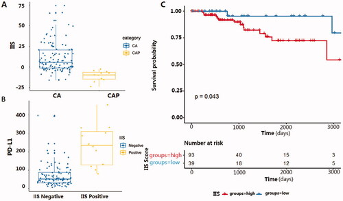 Figure 3. (A) Comparing IIS score in tumour and para-cancerous samples in BRCA dataset from TCGA. X-axis represents sample classification; Y-axis represents the calculated IIS score. CA: cancerous tissue, CAP: para-cancerous tissue. (B) The relationship between IIS status and PD-L1 expression in the TNBC cohort from BRCA-TCGA. X-axis represents IIS status in each sample; Y-axis represents the corresponding normalised PD-L1 RNA expression value. CA: cancerous tissue, CAP: para-cancerous tissue. (C) Kaplan Meier progression-free survival curve for 132 TNBC patients from TCGA, samples with higher IIS have a significantly shorter progression-free survival (p = .043).