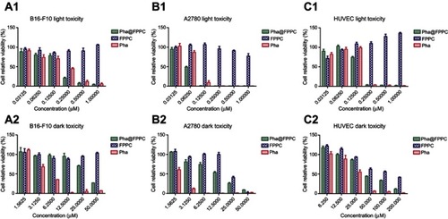 Figure 2 Cytotoxicity of Pha@FPPC in vitro.Note: Relative viabilities of B-16-F10 (A1, A2), A2780 (B1, B2), and HUVEC (C1, C2) cells were analyzed by CCK-8 assay after treatment by various concentrations of Pha@FPPC, Pha, and FPPC with or without light irradiation at 660 nm on a dosage of 9.45 J/cm2. The data were shown as the mean ± standard deviation (n=3).Abbreviations: FPPC, folate polyethylene glycol-b-poly(asparaginyl-chidamide); Pha, pyropheophorbide-a; Pha@FPPC, folate polyethylene glycol-b-poly(asparaginyl-chidamide) micelles encapsulating pyropheophorbide-a.