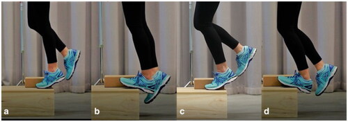 Figure 4. Eccentric calves. (a, b) Start and finish of the straight-knee exercise. (c, d) Start and finish of the bent-knee exercise [Citation79].