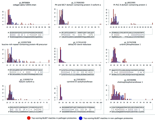 Figure 3. Top pathogen vs. non-pathogen protein similarities to a selected set of predicted human mimicry targets. Predicted human mimicry targets were selected from the top 25 detected relationships (Table 1), and the top BLAST matches by bitscore (x-axis) in pathogen vs. non-pathogen proteomes (frequency on y-axis) have been plotted. In each case, it can be seen that a subset of pathogen proteomes encode putative mimics that exhibit much greater similarities to human proteins than similarities found in non-pathogen proteins. A selected portion of the alignment is shown for the top-scoring pathogen mimic in each case. See Data File S1 for additional details regarding pairwise alignments.