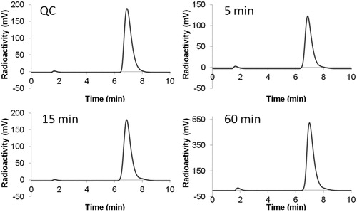 Figure 3. HPLC chromatograms of 18F-labeled 2 from (A) QC sample, or plasma sample after being incubated at 37 °C for (B) 5 min, (C) 15 min, or (D) 60 min.