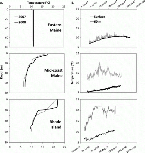 Figure 5.  Temperature regimes in the three oceanographically contrasting study areas of New England where collectors were deployed in three depth strata and temperature records were taken (Figure 4). (a) Temperature profiles taken 2007 and 2008 when collectors were retrieved at the end of the settlement season in each study area. (b) Temperature time series from temperature loggers fastened to collectors at different depths on the sea bed and at the surface in each study area during the 2007 sampling season.