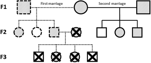 Figure A2. Visualization of disjoint family selection.