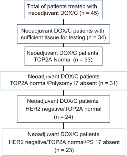 Figure 2 Diagram of neoadjuvant treatment study subjects.
