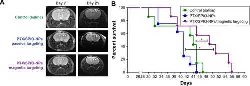 Figure 7 In vivo antitumor efficacy on survival.Notes: (A) MRI images of the control, passive and magnetic groups before and during treatment (on day 7 and day 21, respectively). (B) Kaplan–Meier survival curves (n $ 7) of the control, passive and magnetic targeting groups. The median survival times were 44, 41 and 49 days, respectively. The magnetic targeting group showed significant differences (*p < 0.05) when compared with both the control and passive groups. PTX/SPIO-NPs, PTX/SPIO loaded PLGA-based NPs.Abbreviations: MRI, magnetic resonance imaging; NPs, nanoparticles; PLGA, poly(lactic-co-glycolic acid); PTX, paclitaxel; SPIO, super paramagnetic iron oxide.