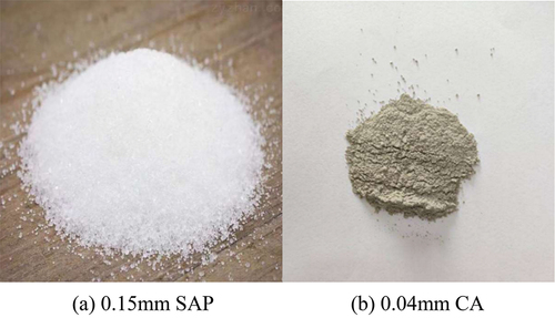 Figure 1. Appearance of SAP and CA.