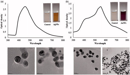 Figure 2. UV–vis spectra and FE-TEM images of silver nanoparticles (a) and gold nanoparticles (b).