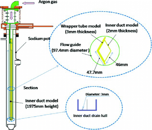 Figure 4 Inner duct model in sodium pot