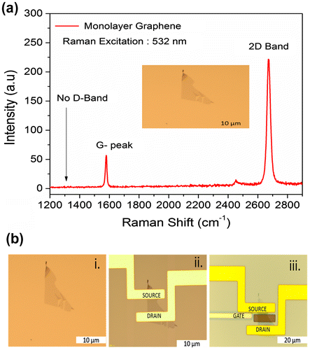 Figure 1. (a) Raman spectrum of monolayer graphene, which was shifted onto the SiO2/Si substrate using scotch tape. A strong peak was observed at 2672 cm-1. (b) Optical image of monolayer graphene, which illustrates the different stages of GFET device fabrication. (i) Monolayer graphene, (ii) fabrication of source-drain electrodes (Ti/Au), and (iii) fabrication of top gate electrode (Ti/Pt).