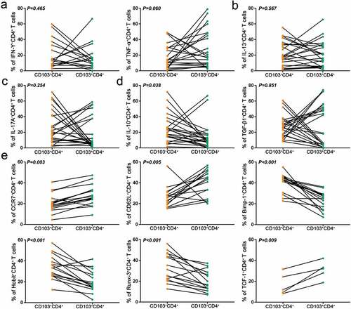 Figure 4. Intratumoral CD103+CD4+ T cells express high level of IL-10 and display features of tissue residency. (a) Flow cytometry analysis of Th1 type cytokines (IFN-γ, TNF-α) in CD103−CD4+ and CD103+CD4+ T cells from gastric cancer tissues (n = 17,24). (b) Flow cytometry analysis of Th2 type cytokine IL-13 in CD103−CD4+ and CD103+CD4+ T cells from gastric cancer tissues (n = 24). (c) Flow cytometry analysis of Th17 type cytokine IL-17A in CD103−CD4+ and CD103+CD4+ T cells from gastric cancer tissues (n = 24). (d) Flow cytometry analysis of Treg type cytokines (IL-10, TGF-β1) in CD103−CD4+ and CD103+CD4+ T cells from gastric cancer tissues (n = 24). (e) Flow cytometry analysis of tissue egression markers (CCR7 and CD62L) and transcriptional factors (Blimp-1, Hobit, Runx-3 and TCF-1) in CD103−CD4+ and CD103+CD4+ T cells from gastric cancer tissues(n = 16,16,16,16,16,5). Significance was assessed by paired t test