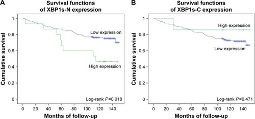 Figure 3 Survival curves of (A) nuclear XBP1s (XBP1s-N) expression and (B) cytoplasmic XBP1s (XBP1s-C) expression.