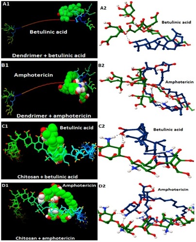 Figure 1 The results of molecular modeling and docking calculations for the four different nanodrugs.