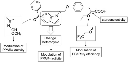 Figure 1. Design of α–alkoxyphenylpropionic acid derivatives bearing various central nitrogen heterocycles.