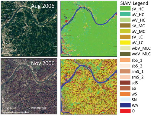 Figure 7. Changes through time of the 19-class SIAM spectral macro-category labels due to vegetation phenology affecting the monthly WELD composite. Left side: 30 m resolution monthly WELD composites, radiometrically calibrated into top-of-atmosphere reflectance (TOARF) values, for August and November 2006, showing an area predominantly covered by broadleaf forest in the Mid-Western United States (Ohio). Depicted in true colors (red: Band 3, 0.63–0.69 μm; green: Band 2, 0.53–0.61 μm, and blue: Band 1, 0.45–0.52 μm). To allow inter-image comparison, the two images are displayed with an identical contrast stretch. Right side: SIAM-WELD color maps generated from the two WELD images shown on the left side. The SIAM map legend, consisting of 19 spectral macro-categories, is shown on the right side, also refer to Table 2.