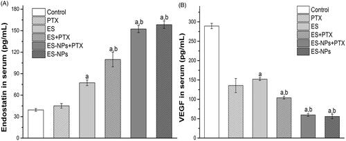 Figure 4. Serum ES (A) and VEGF (B) levels of each group. Mice in each group were sacrificed on day 21 and blood samples were collected to detect serum ES and VEGF levels by ELISA. ap < .05 versus the control; bp < .05 versus the ES group.