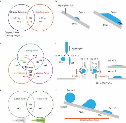 Figure 5. Consideration of dimensionless parameters for the determination of the force that dominates droplet mechanics.