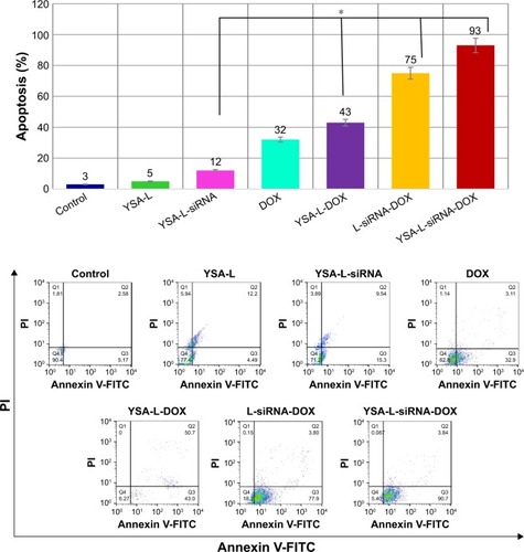 Figure 8 OS cell apoptosis by Annexin.Notes: Cells were treated with YSA-L, YSA-L-siRNA, DOX, YSA-L-DOX, L-siRNA-DOX, and YSA-L-siRNA-DOX for 48 h. Mean±SD are determined. The symbol * represents a statistically significant difference (P,0.05) when compared with control.Abbreviations: DOX, doxorubicin; OS, osteosarcoma.