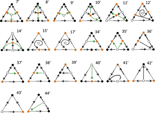 Figure A2. As in Figure A1, but with time reversed. In 7', 15', 35' there are 3 asymptotically stable equilibria. Note that 17' is not relevant as interior points are not convergent, as the omega limit set of the interior equilibrium is ∂Δ.