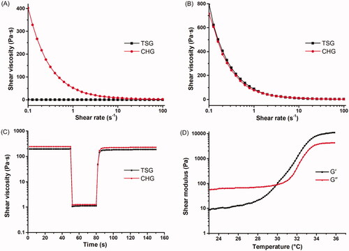 Figure 3. Rheological properties of TSG. (A) Variation of shear viscosity of TSG and CHG at 20 °C. (B) Variation of shear viscosity of TSG and CHG at 33 °C. (C) Thixotropy profile of TSG and CHG. (D) Variation of G’ and G’’ of TSG with temperature.