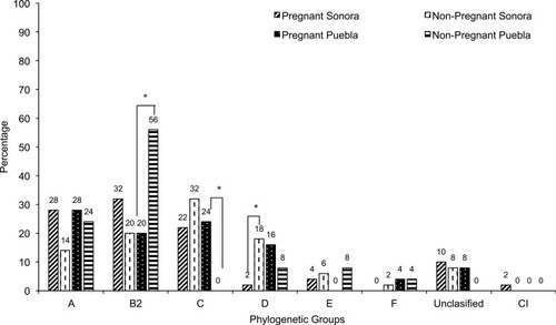Figure 3 Distribution of phylogenetic group among 150 E. coli strains isolated from urine of women from Sonora and Puebla, Mexico. The statistically significance results (p<0.05) are in asterisk.Abbreviation: CI, Clade I.