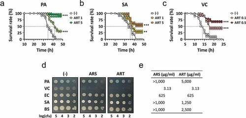 Figure 2. Antibacterial efficacy of ARS in vivo and in vitro.