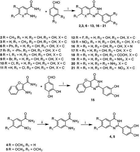 Scheme 1. Synthetic protocol for compounds 2–13 and 15–21. Reagents and conditions: i) I2/CH3CN, rt, 6 h. ii) SnCl2/HCl 37%,−5 °C (1 h), rt (30 h).