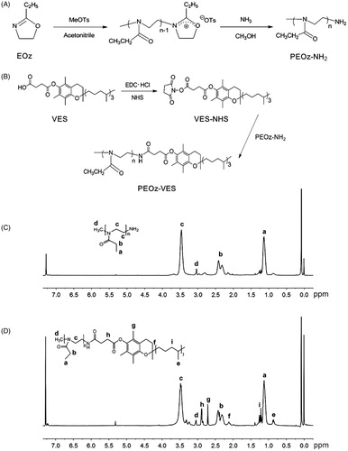 Figure 1. Synthetic routes of PEOz-NH2 (A) and PEOz-VES (B) copolymers. 1H NMR spectrum of PEOz-NH2 (C) and PEOz-VES in CDCl3 (D).