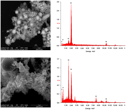 Figure 3. SEM micrographs (left) and EDS analyses (right) of S3 (Bi/Bi2WO6/g-C3N4) composite. The data on top are for the bulk, while the data on the bottom correspond to the Bi2WO6/g-C3N4 matrix.