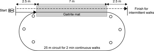 Figure 3 This figure depicts the laboratory setup for testing continuous and intermittent walks.