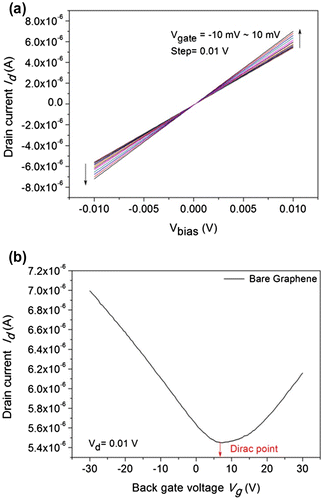 Figure 4. Output and transfer characteristics of the back-gated graphene device. (a) Output characteristics with drain current vs. bias voltage measured at various Vg ranging from –10 MV to 10 MV with a step of 0.01 V. (b) The transfer curve for bare graphene between the drain current vs. back gate voltage at Vd = 0.01 V. The colored line shows the Dirac point of the device at Vg = 0.6 V.