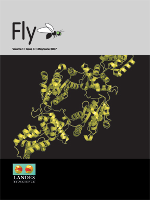 Cover image for Fly, Volume 1, Issue 3, 2007