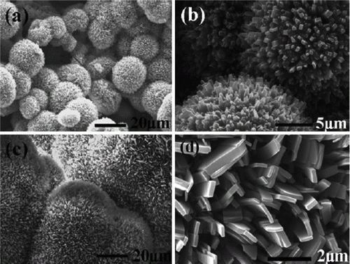 Figure 3.  SEM images of palladium nanoparticles of different shapes that are used as catalysts for the carbon–carbon coupling reactions (21). Reproduced by permission of the Royal Society of Chemistry.