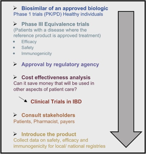 Figure 1 An approach to introducing a biosimilar to inflammatory bowel disease (IBD) practice.Abbreviation: PK/PD, pharmacokinetic/pharmacodynamic.