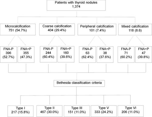 Figure 2 A summary of the study on thyroid nodules diagnosed by FNA-P and FNA+P.