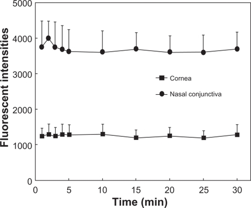 Figure 2 Plot of fluorescent intensities and time after application of 5% wheat germ agglutinin conjugate of fluorescein (F-WGA) solution. The fluorescent intensities of the central cornea and nasal bulbar conjunctiva were measured for 30 minutes. The fluorescent intensities at the central cornea and the nasal bulbar conjunctiva did not decay with time, and remained stable for 30 minutes after application of a 5% F-WGA solution.