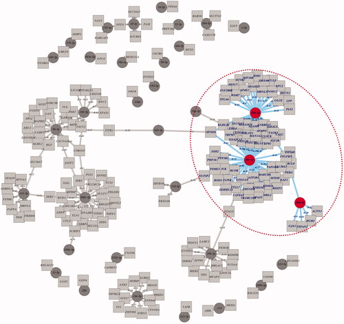 Figure 1. Identification of putative miR direct targets networks from Broad GDAC Firehose by analyzing TCGA PRAD sequencing data.