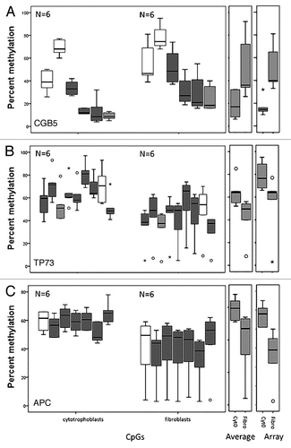 Figure 6 Pyrosequencing validation of DNA methylation measured by microarrays. Three CpG sites mapping to the promoter region of (A) CGB5 and the tumor suppressor genes (B) TP73 and (C) APC were analyzed. For each gene three box plots are shown. From left to right: the first corresponds to the values for each CpG site as measured in the pyrosequencing assay, the second to the average of the values of all the CpG sites for each pyrosequencing assay and the third plot corresponds to the methylation value measured by the array. The white boxes correspond to non-statistically significantly different CpG sites and the grey boxes to statistically significantly different CpG sites between cytotrophoblast and fibroblast samples. The light grey boxes show the CpG of the pyrosequencing target that corresponds to the one that was targeted by the array.