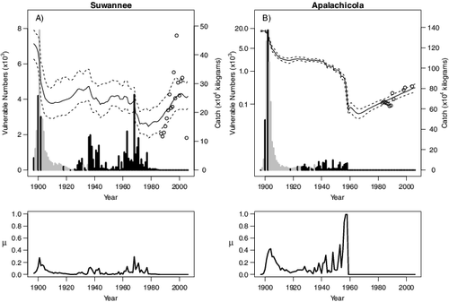 FIGURE 2. Estimated population trajectories, harvest removals, and exploitation rates of Gulf Sturgeon for the Suwanee and Apalachicola rivers. The estimated vulnerable population trajectory (solid black line) and 95% credible interval (dashed black line) for the (A) Suwanee and (B) Apalachicola rivers, as well as estimated harvest removals (catch in kilograms). Vertical dark grey bars are reported removals, and light grey vertical lines indicate interpolated total removals. In both panels the open circles indicate annual population estimates from tagging studies. The y-axis of the Apalachicola River graph are log scaled for vulnerable numbers for clarity. Plots of estimated annual exploitation rate (μ) for the Suwanee and Apalachicola rivers are presented in the lower panels.