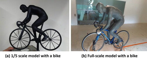 Figure 1. The photos of (a) a 1/5 scale model with a bike for the water-channel experiment and (b) a full-scale model with a bike for the wind-tunnel experiment.