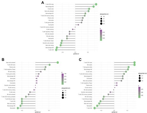 Figure 8 Correlation analysis between biomarkers and immune cells. (A) Correlation diagram of CHMP1A gene and immune cells. (B) Correlation diagram of MED15 gene and immune cells. (C) Correlation diagram of MGAT1 gene and immune cells.